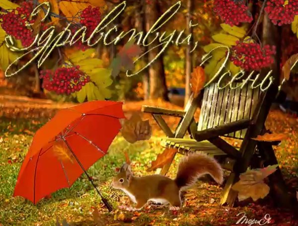 открытка осенняя