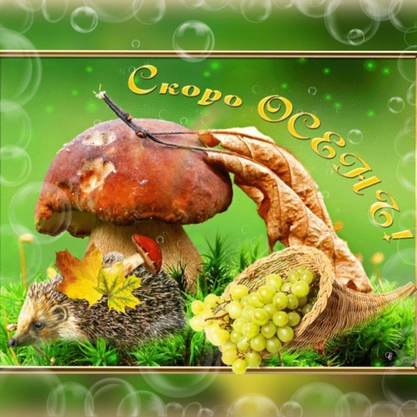 с наступающей осенью