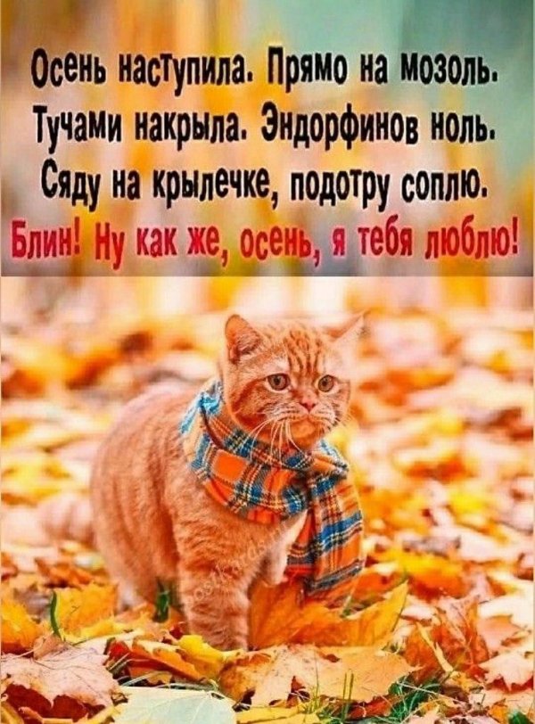 осень наступила