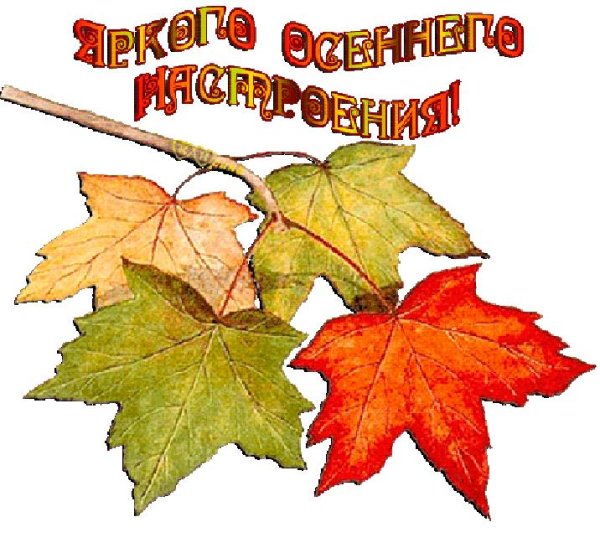 кленовые листья осенние