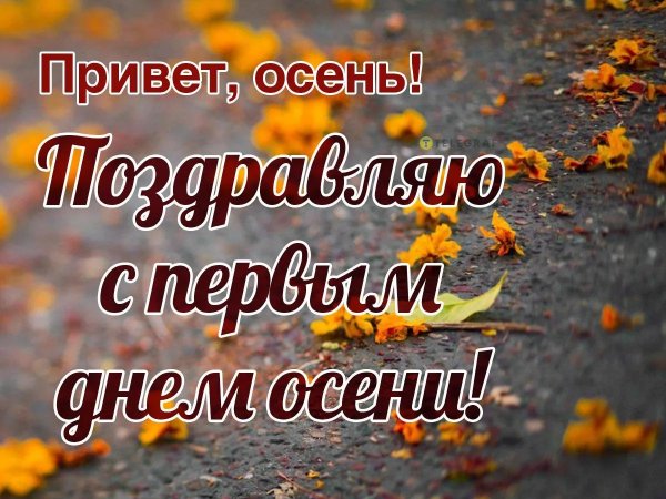 с первым днём осени 1 сентября