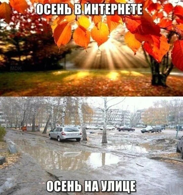 осень пора