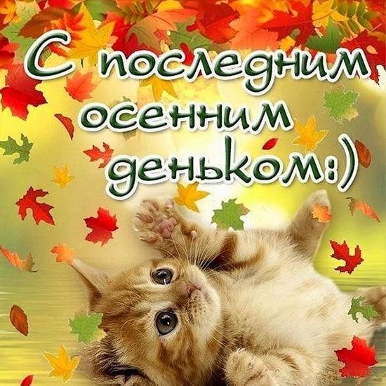 осенний приветик