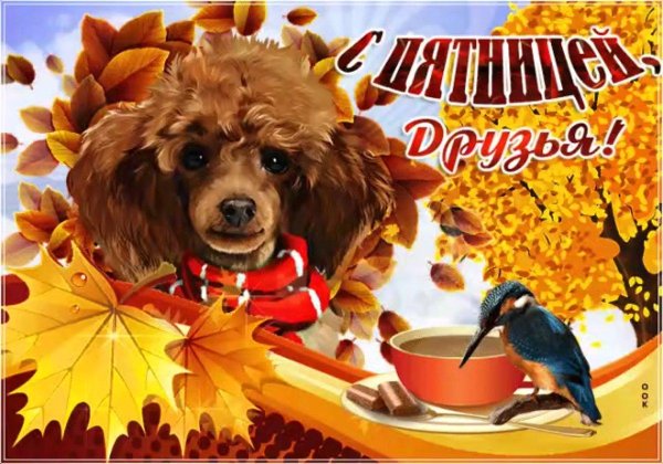 осенней пятницы