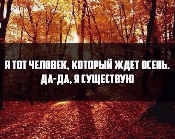 люблю осень