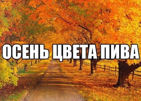 золотая осень