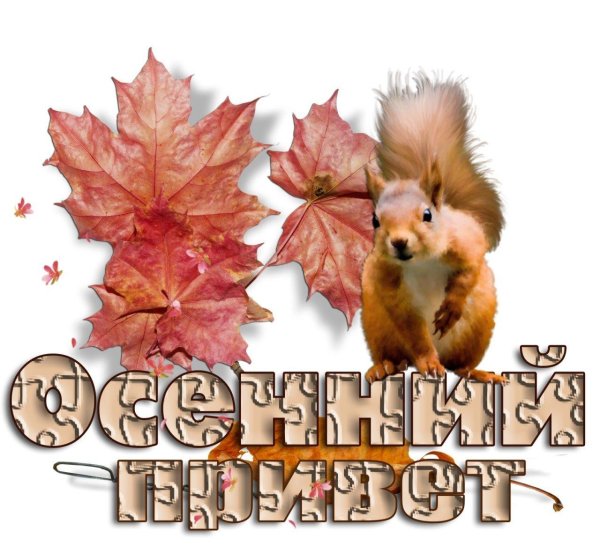 осенний привет