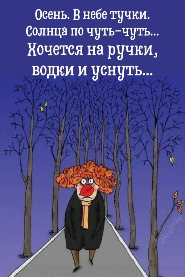 короткие анекдоты