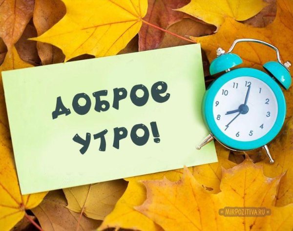 доброе утро воскресенье осеннее