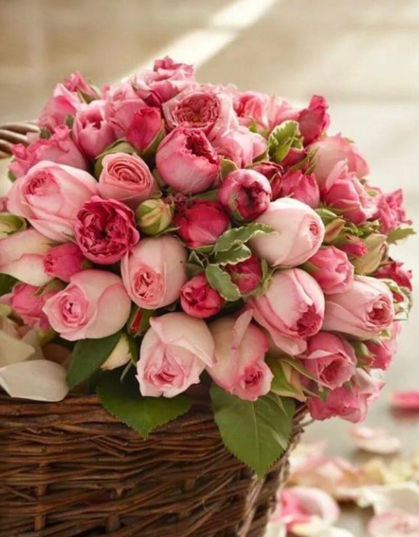 роскошные букеты цветов