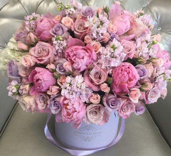 пионовидная роза