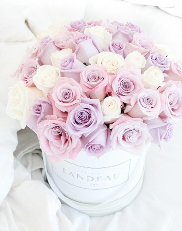 нежные букеты