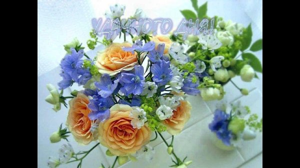 нежный цветок