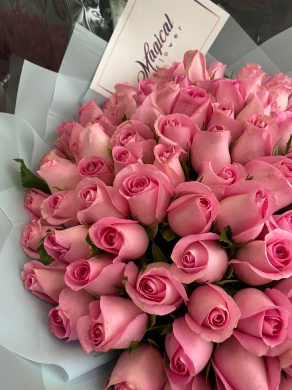 роза кения нежнорозовая