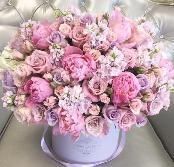 пионовидная роза