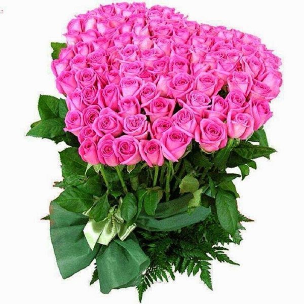 большой букет розовых роз