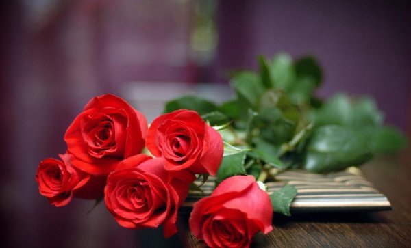 красная роза