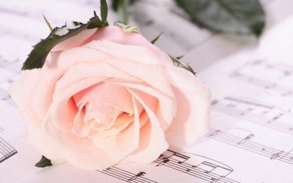 нежная музыка