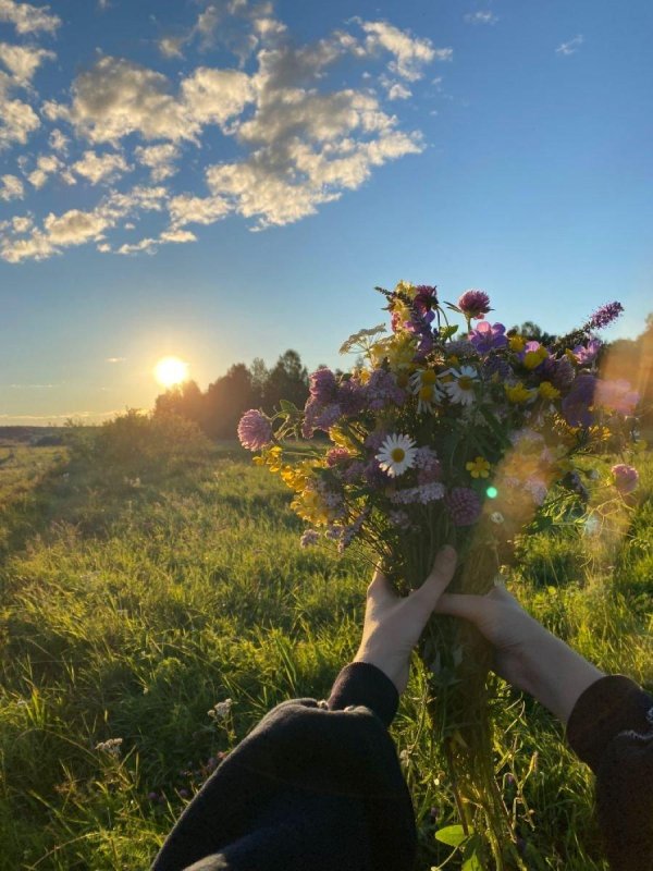 закат летний