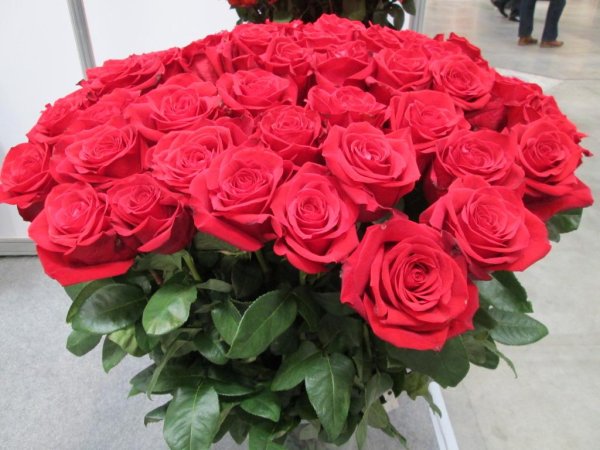 шикарные букеты