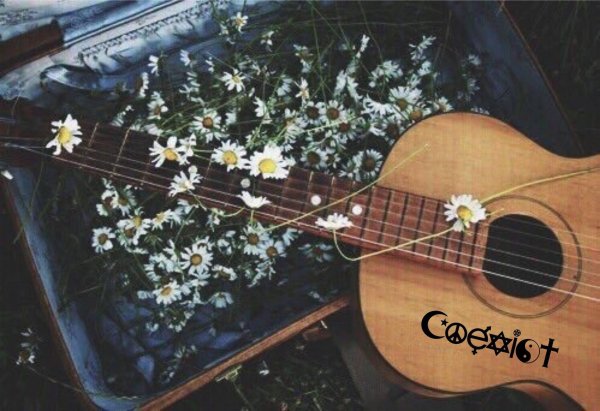 гитара пинтерест