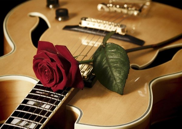 гитара и роза