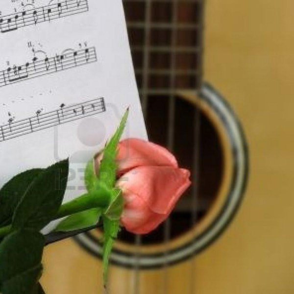 музыкальный букет