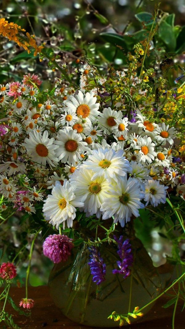 букет полевой