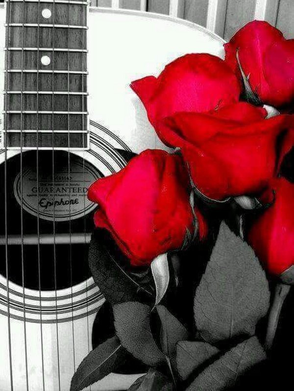 любимая гитара