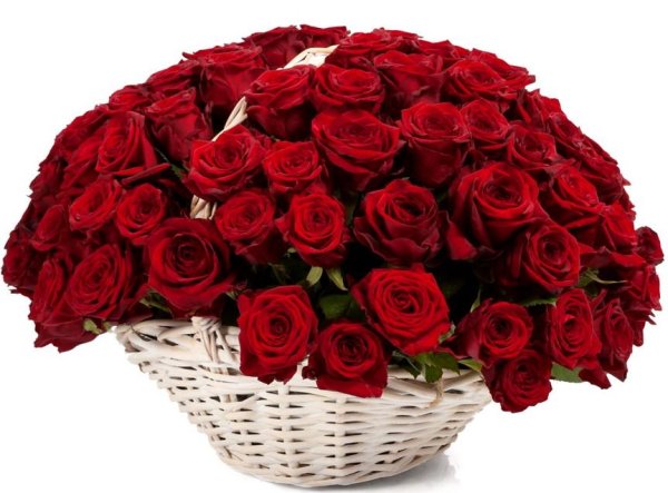 большая корзина роз
