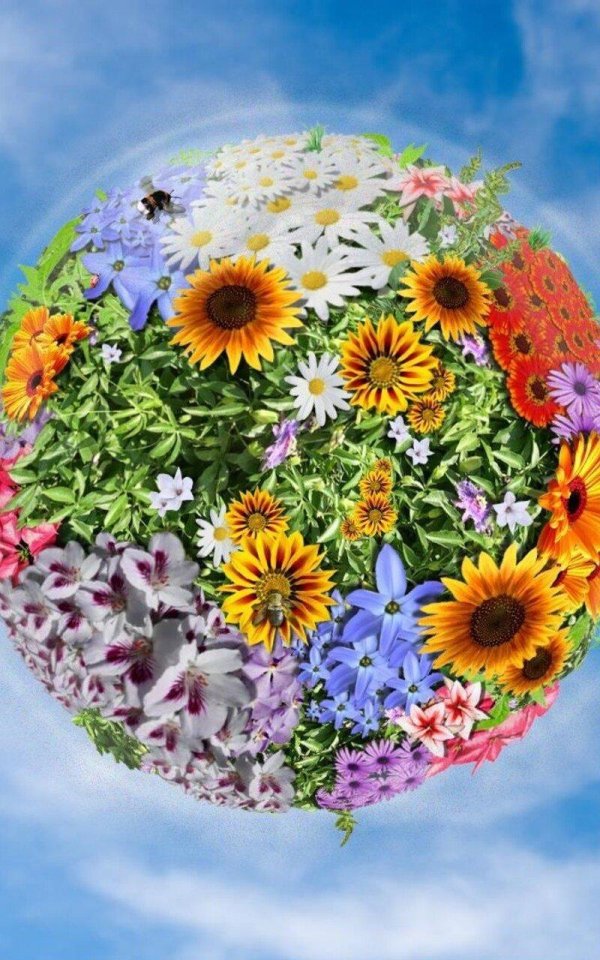 цветущая планета