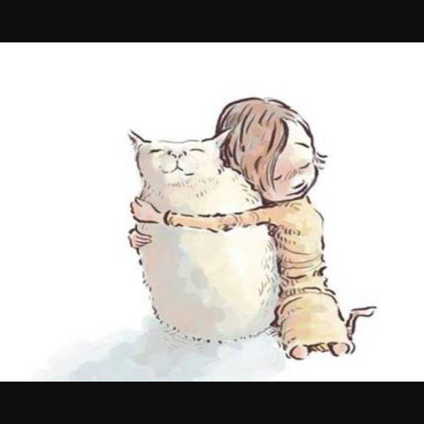 иллюстрация кот