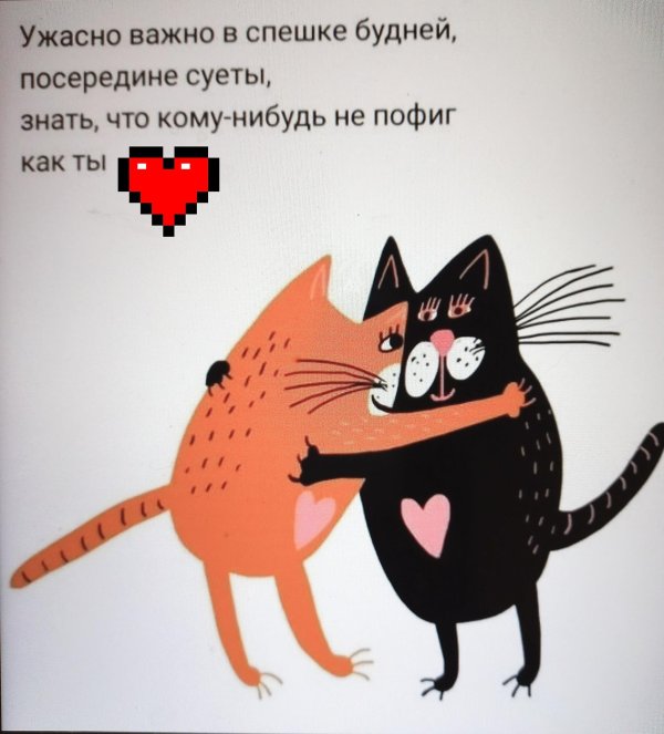 иллюстрация котик