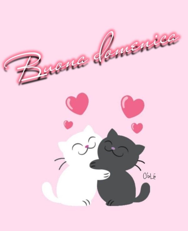 кошки романтика