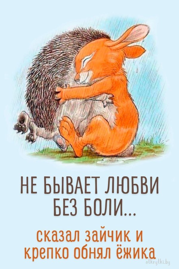 нет любви без боли сказал зайчонок и крепко обнял ёжика