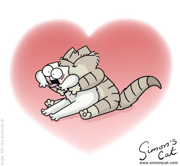 коты обнимаются рисунок