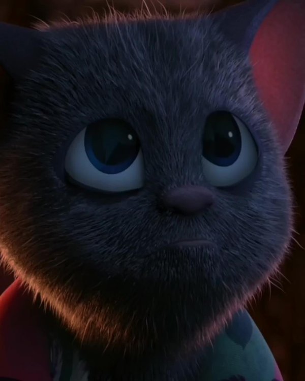 мейвис летучая мышь