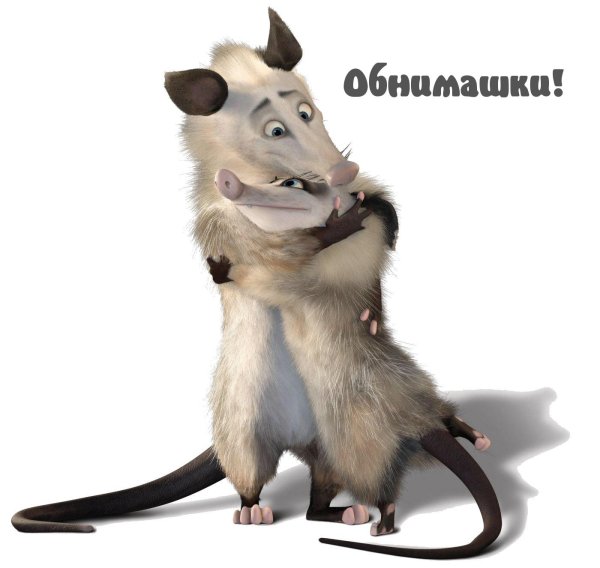 лесная братва опоссум