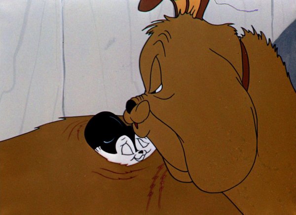 looney tunes cartoons