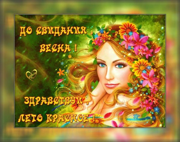 весна красавица