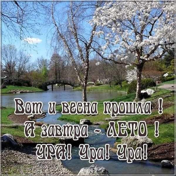 весна в мае