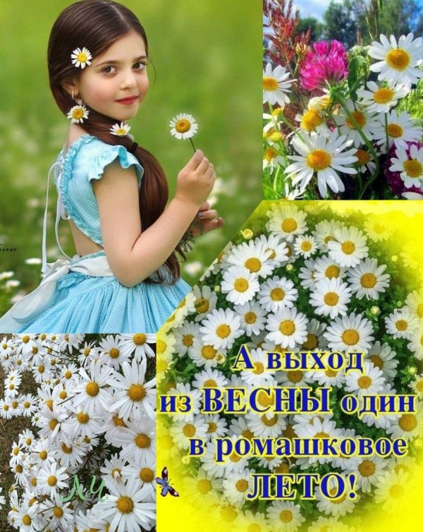 венок из ромашек