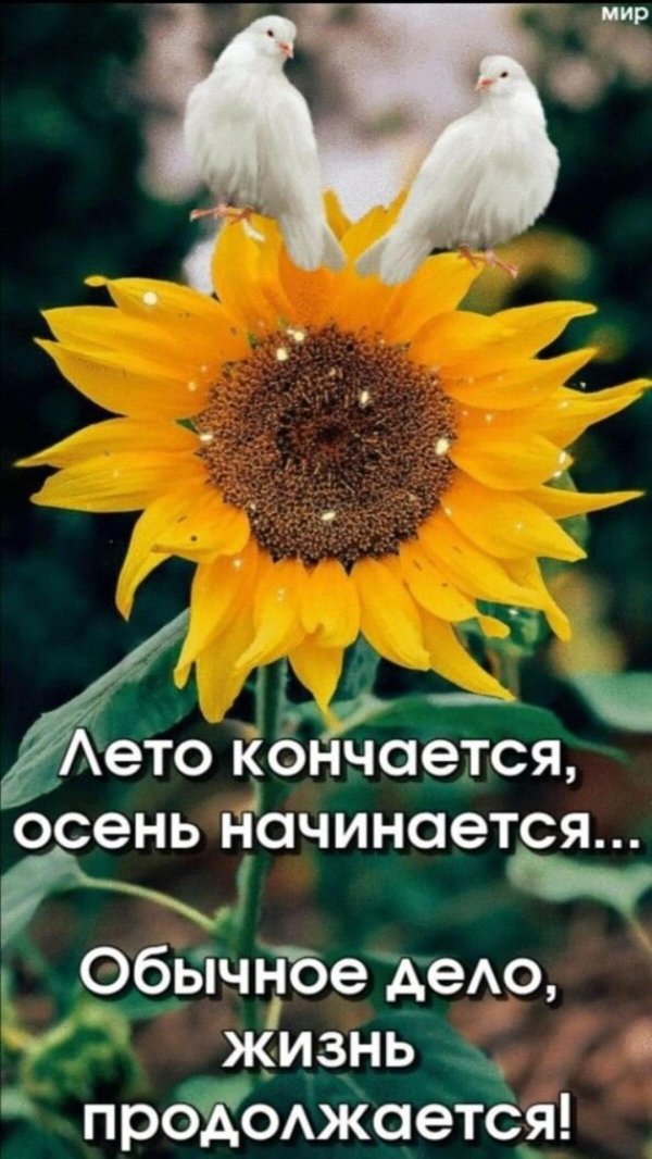 доброе утро сентября