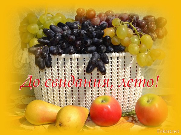 до свидания август