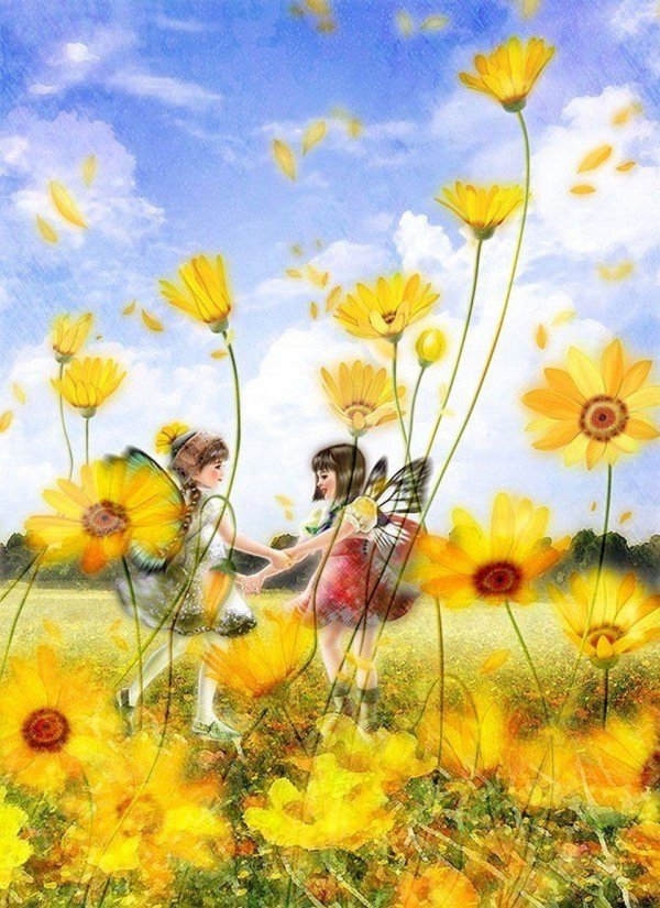 солнечные цветы