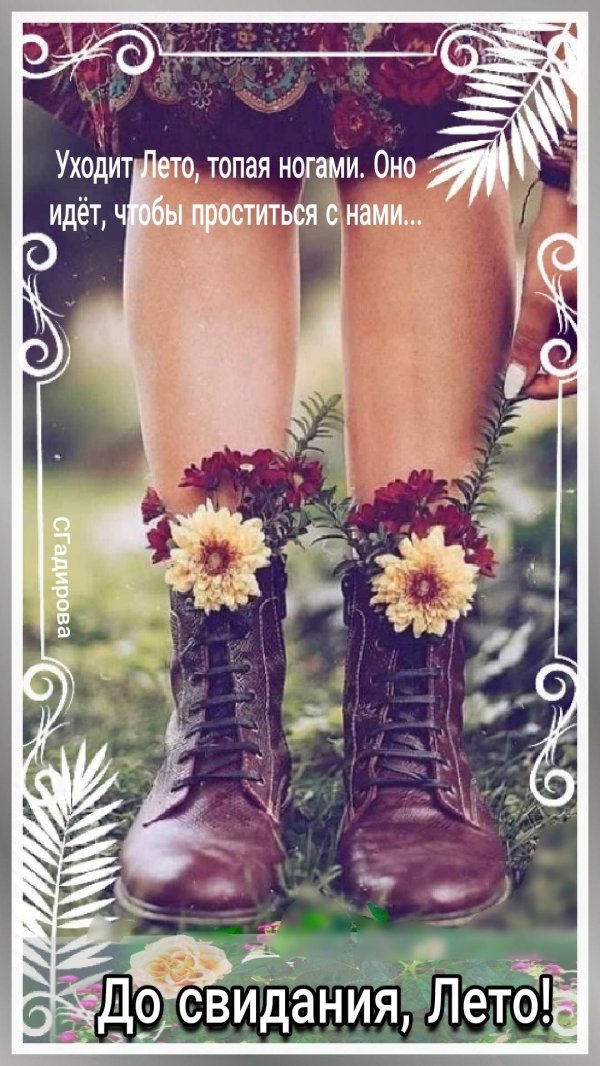 последние дни лета