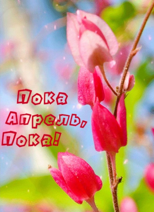апрельский приветик