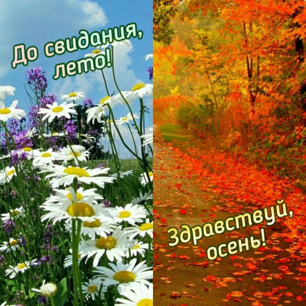 открытка прощай лето