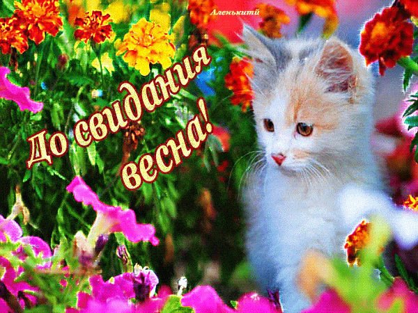 открытка весенняя