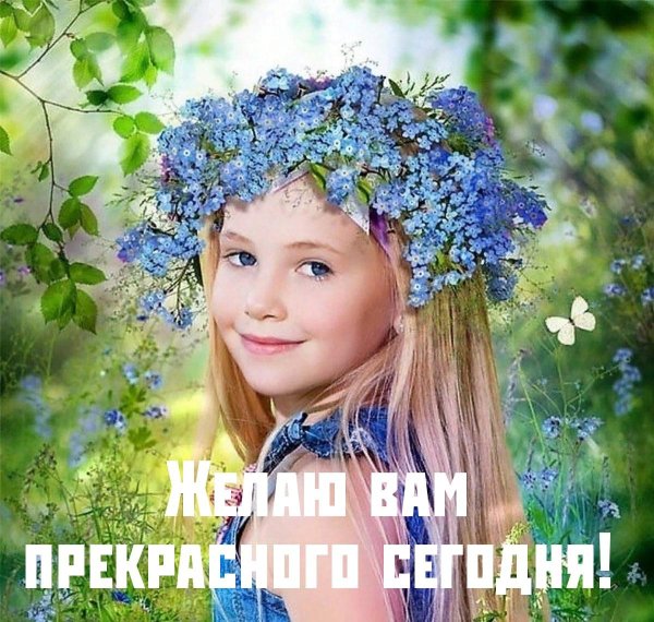 венок из незабудок